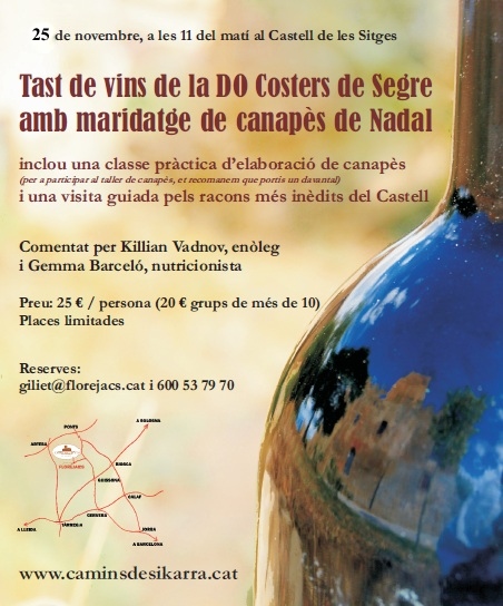 cartell Tast de vins i maridatge de canapès de Nadal