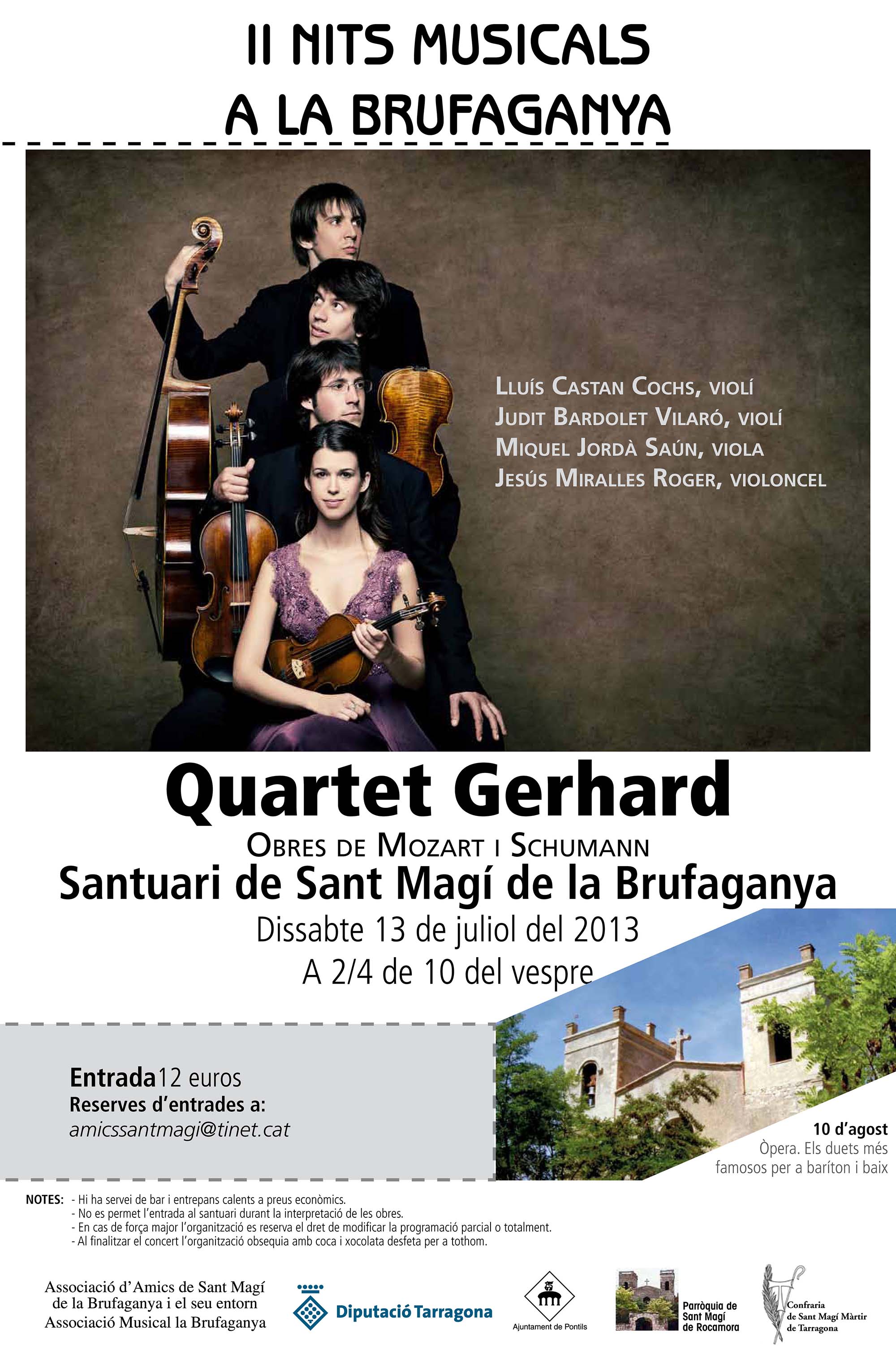 cartell II Nits Musicals a la Brufaganya 2013