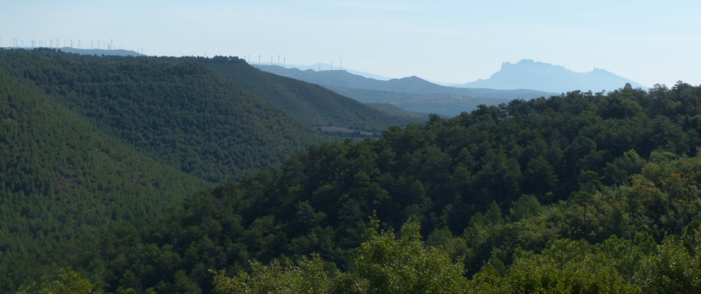 cartell Excursió guiada: LES OBAGUES I LA COMA