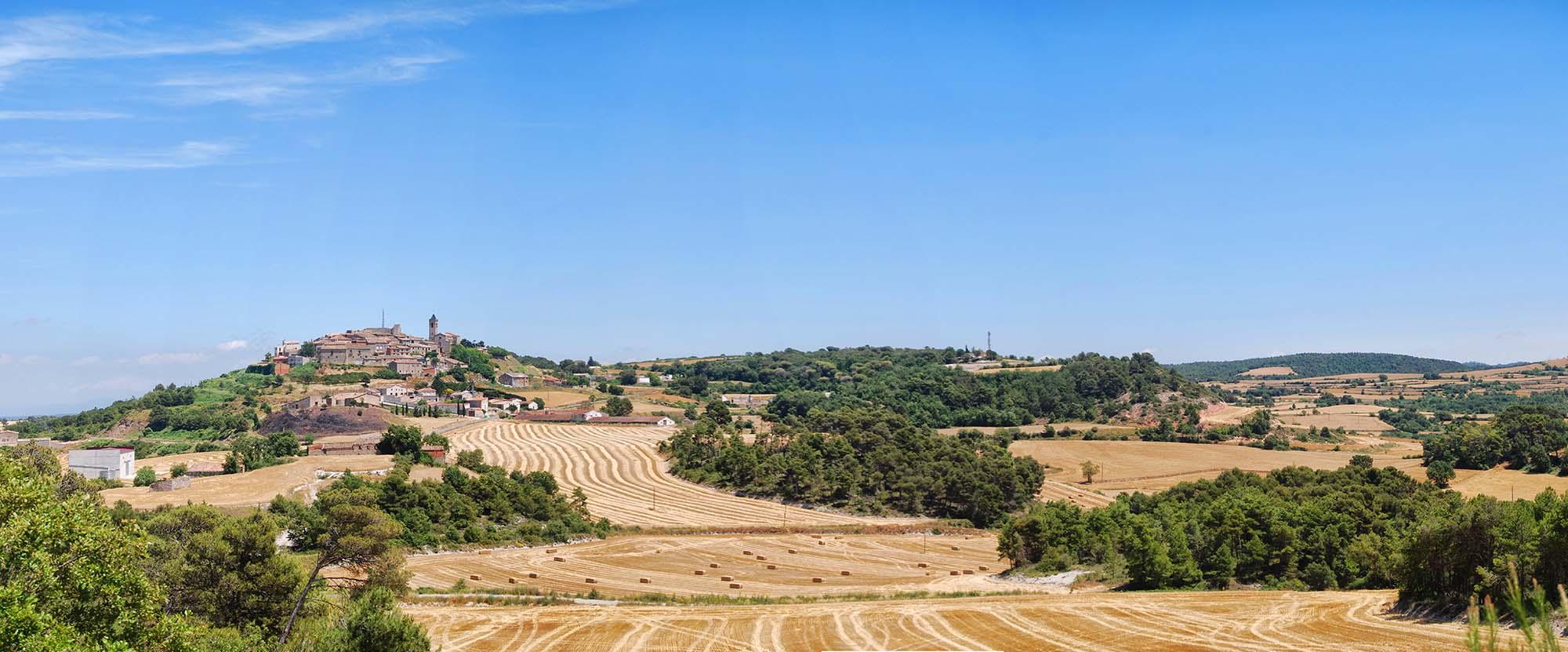 Caminada pels voltants d'Aguiló