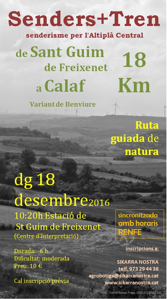 cartell SENDERS+TREN (De Sant Guim de Freixenet a Calaf)