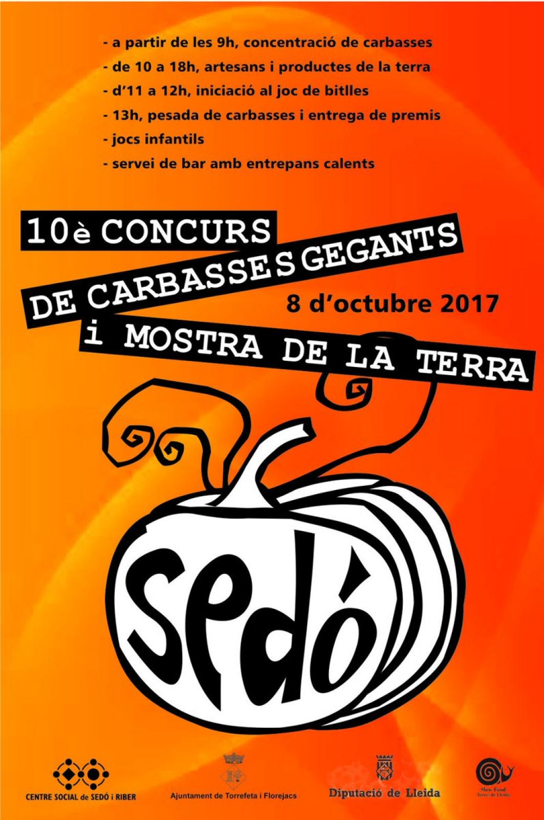 cartell 10è Concurs de Carbasses Gegants de Sedó