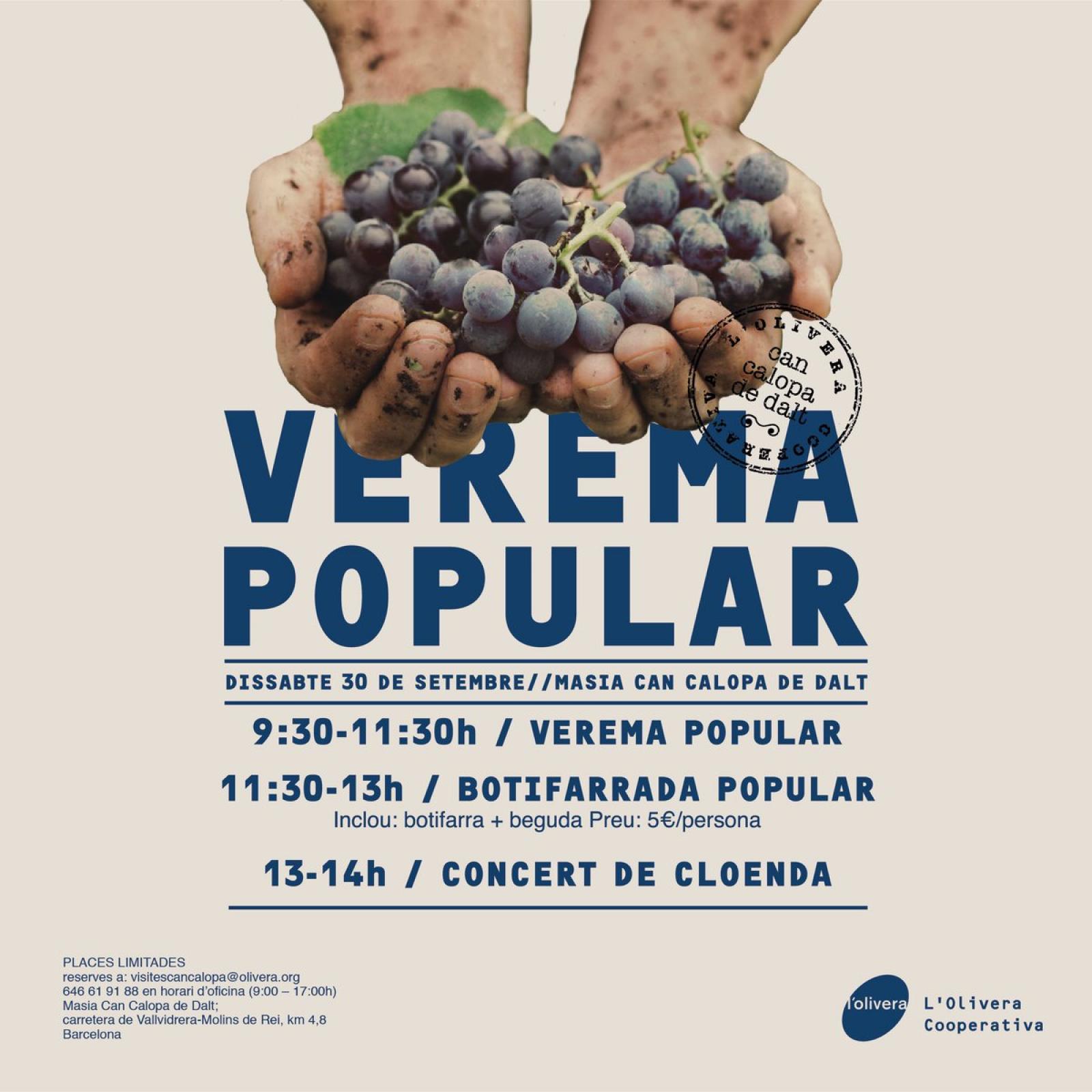 cartell Verema popular de l'Olivera