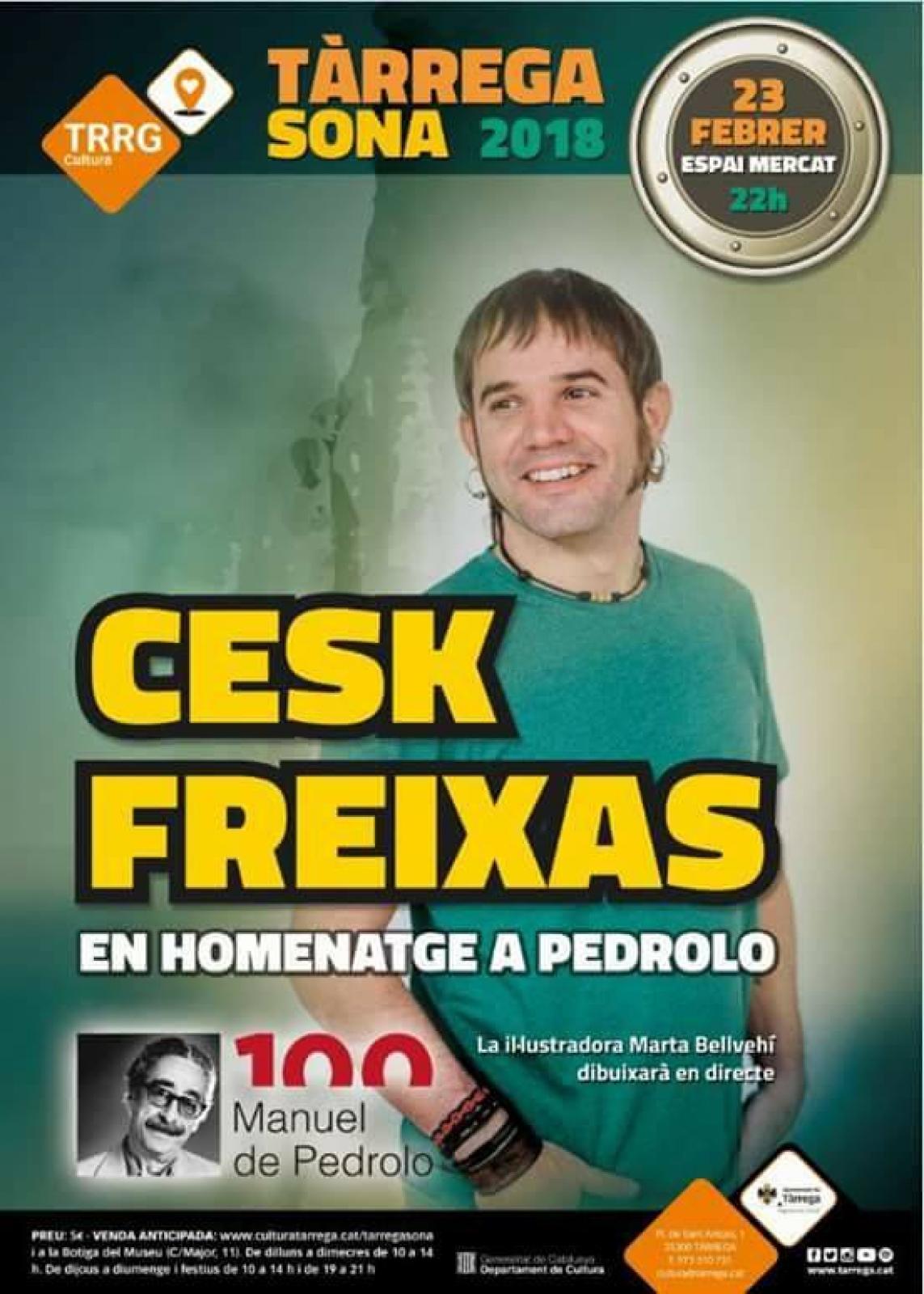 Concert de Cesk Freixas en homenatge a Manuel de Pedrolo