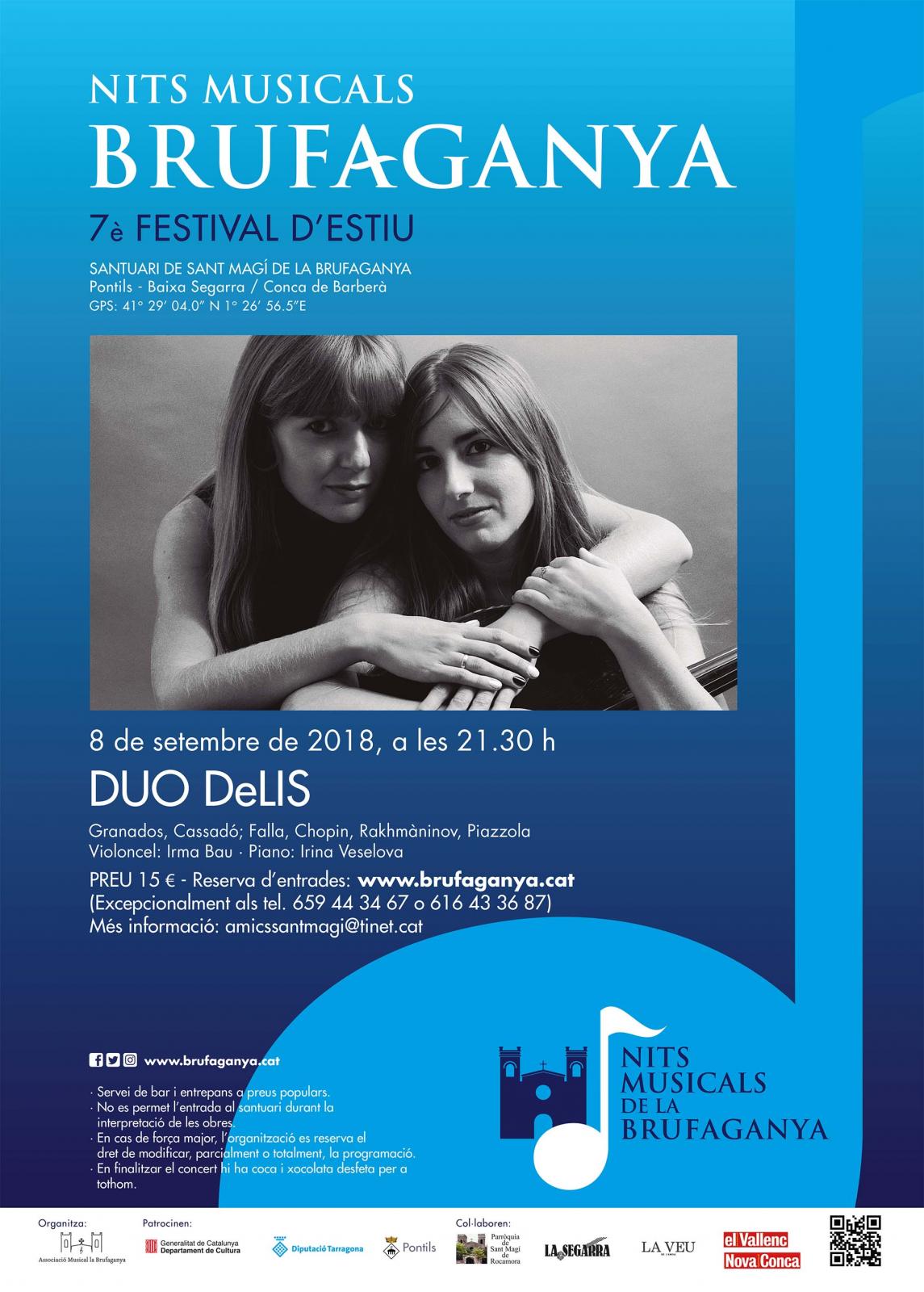 cartell DUO DeLIS (Nits Musicals de la Brufaganya)