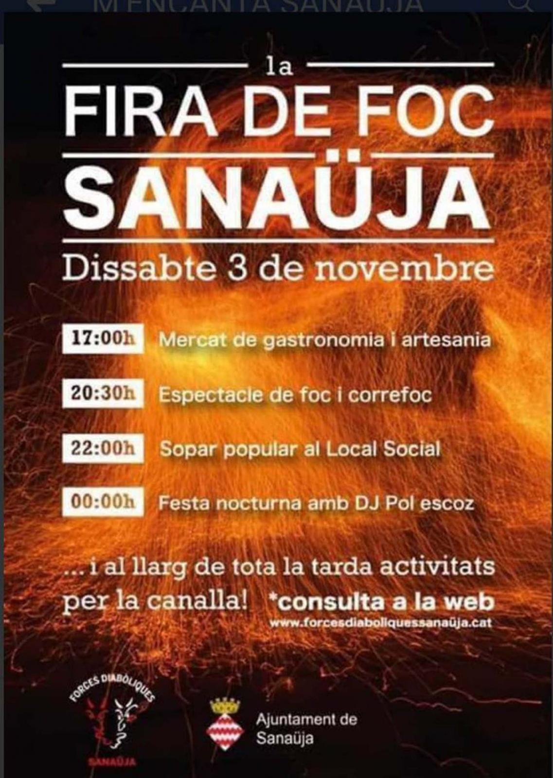 1a Fira de foc de Sanaüja