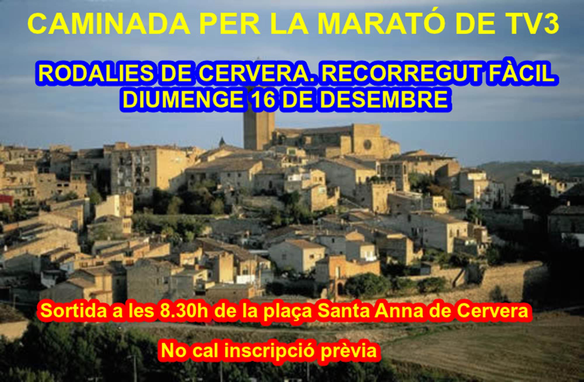 Caminada per la Marató TV3