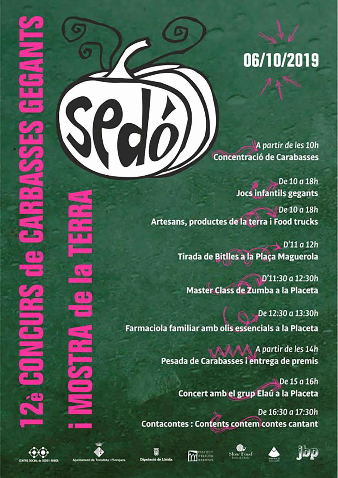 cartell 12è Concurs de Carbasses Gegants de Sedó