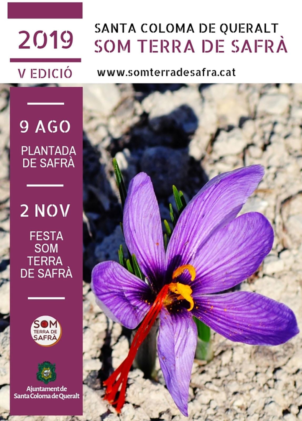 cartell Som Terra de Safrà 2019