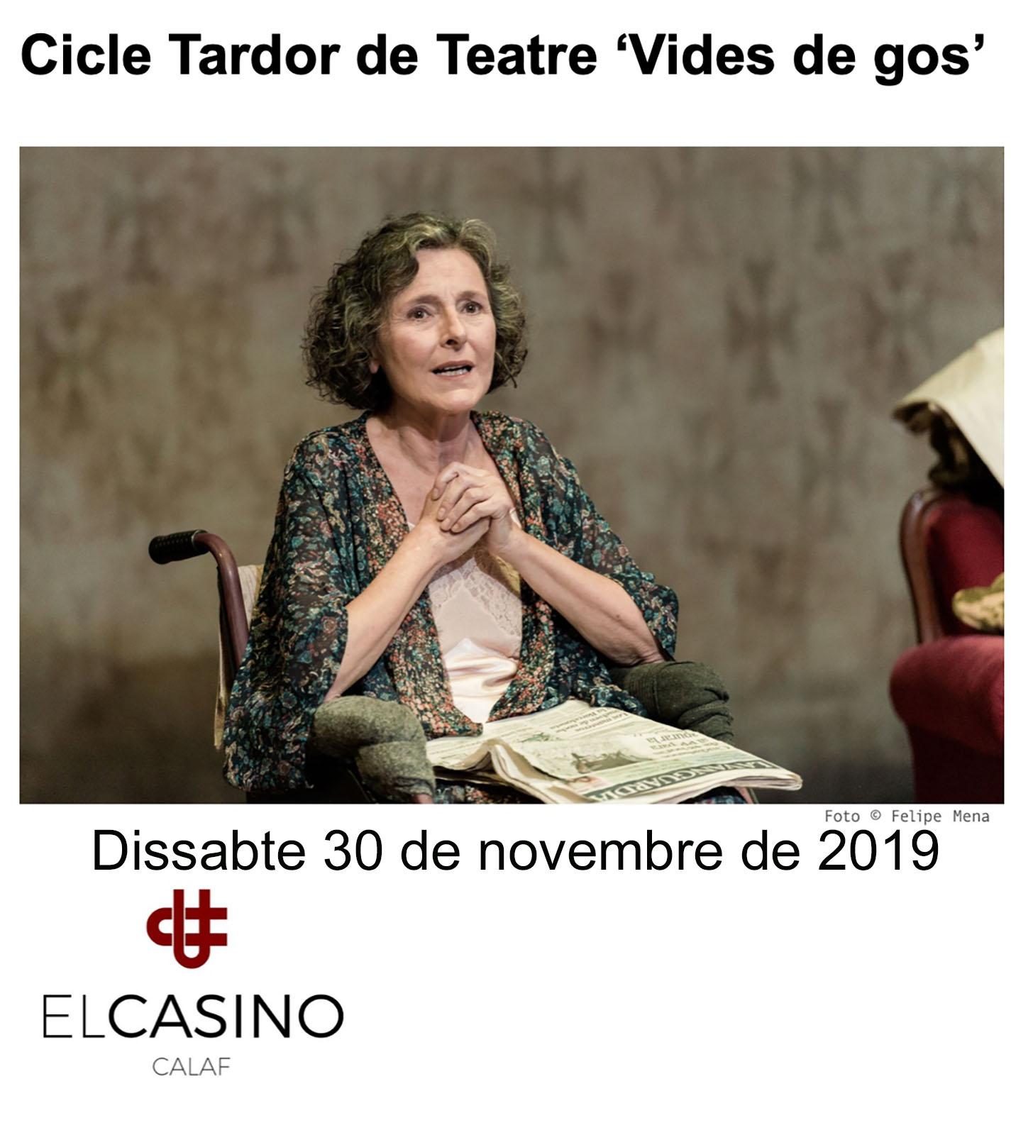 cartell Teatre 'Vides de gos'