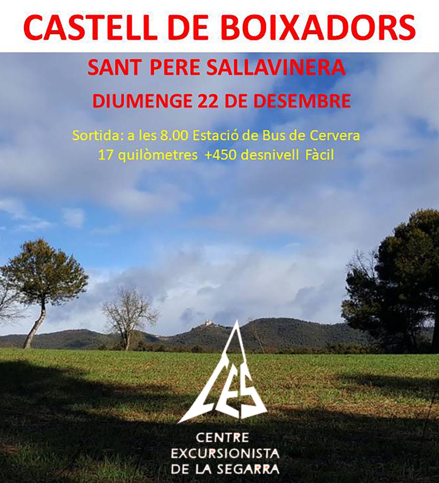 cartell Caminada al Castell de Boixadors