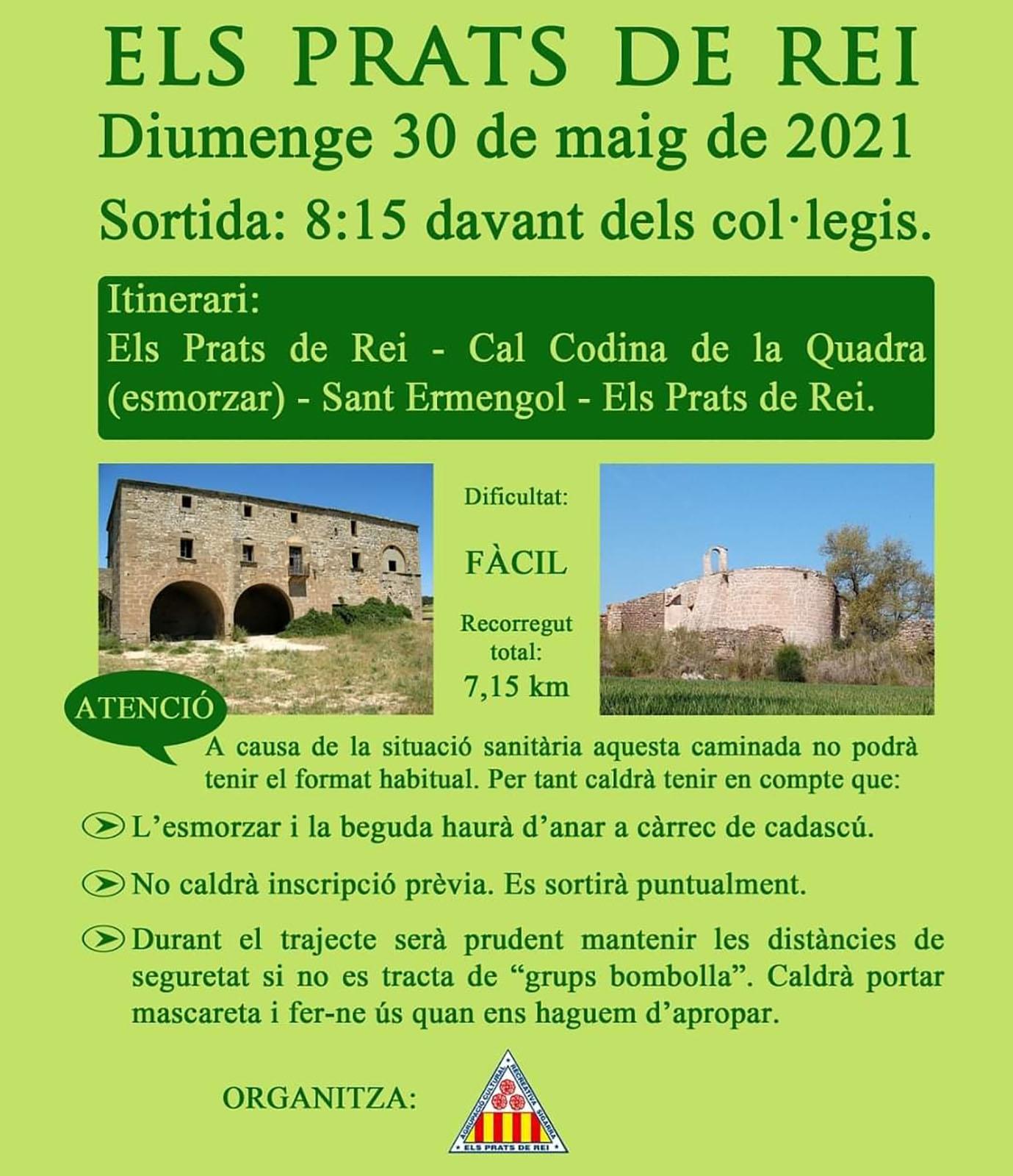 cartell 53a Caminada popular Els Prats de Rei