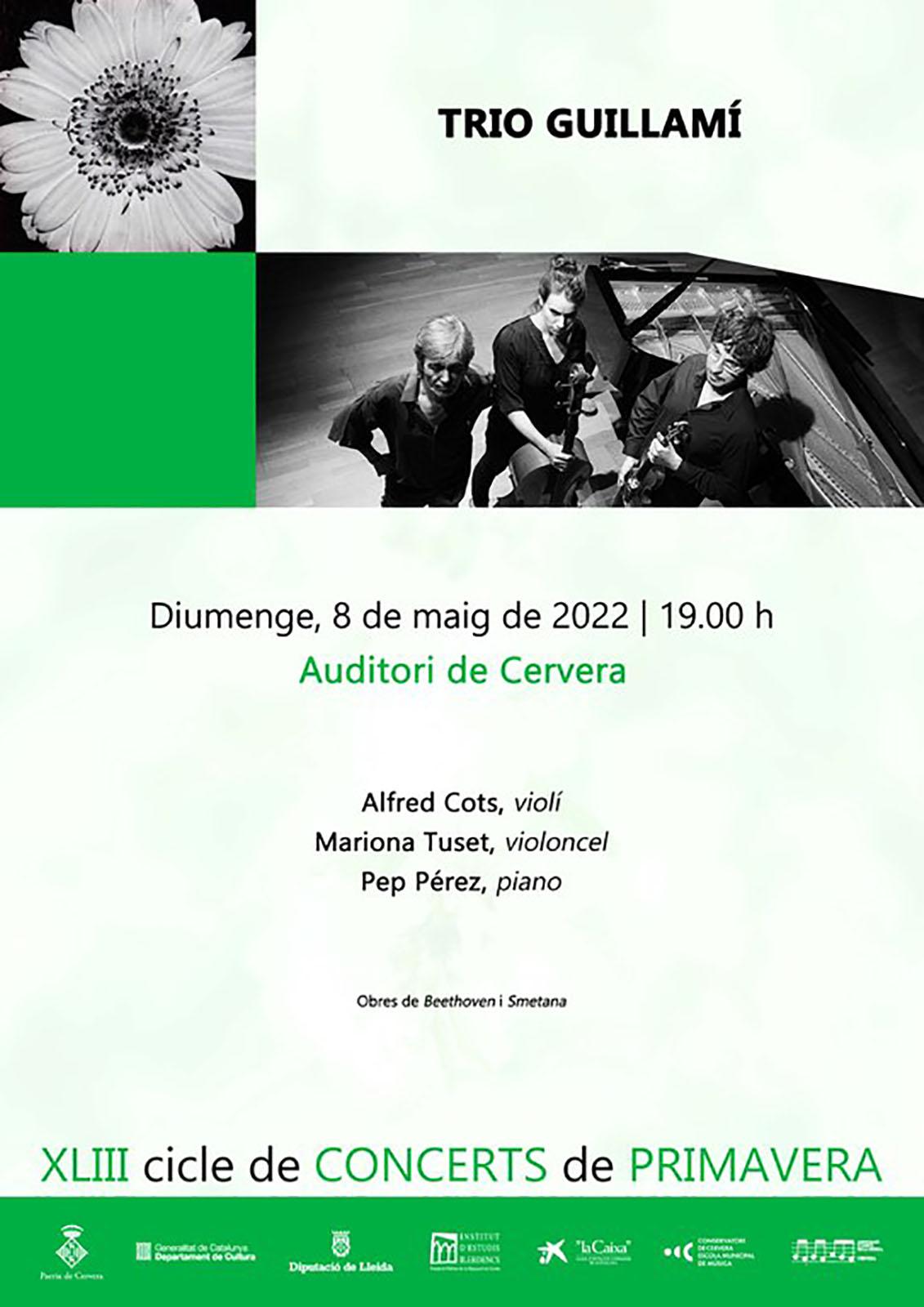 cartell Concert del Trio Guillamí