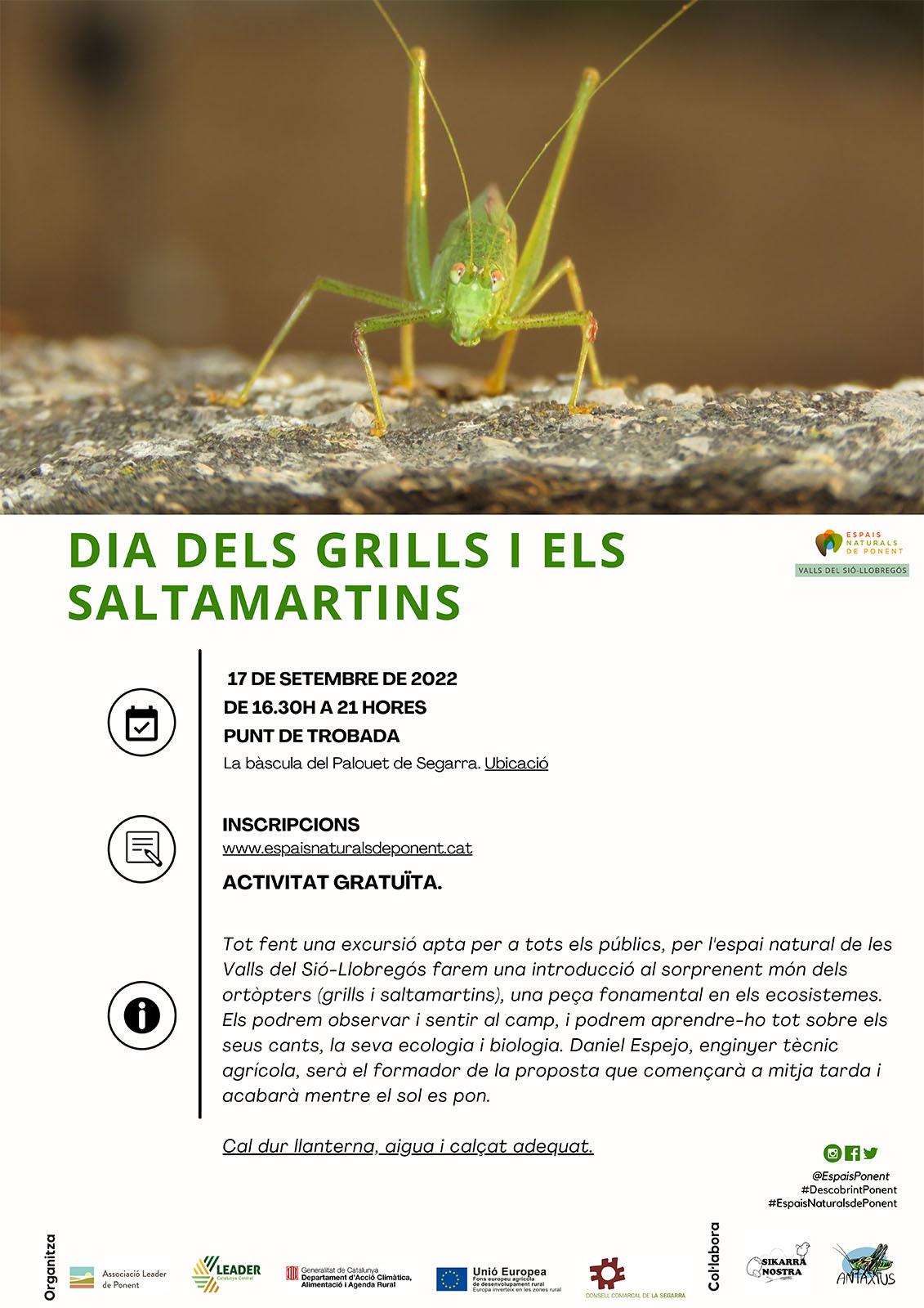 cartell Dia dels grills i els saltamartins