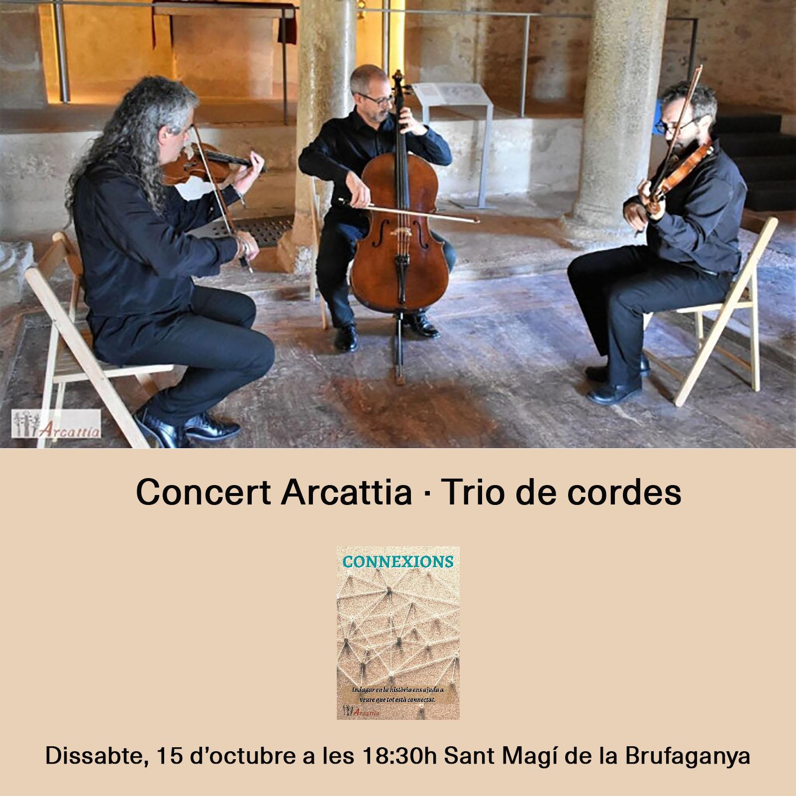 cartell Concert 'Arcattia, trio de cordes'