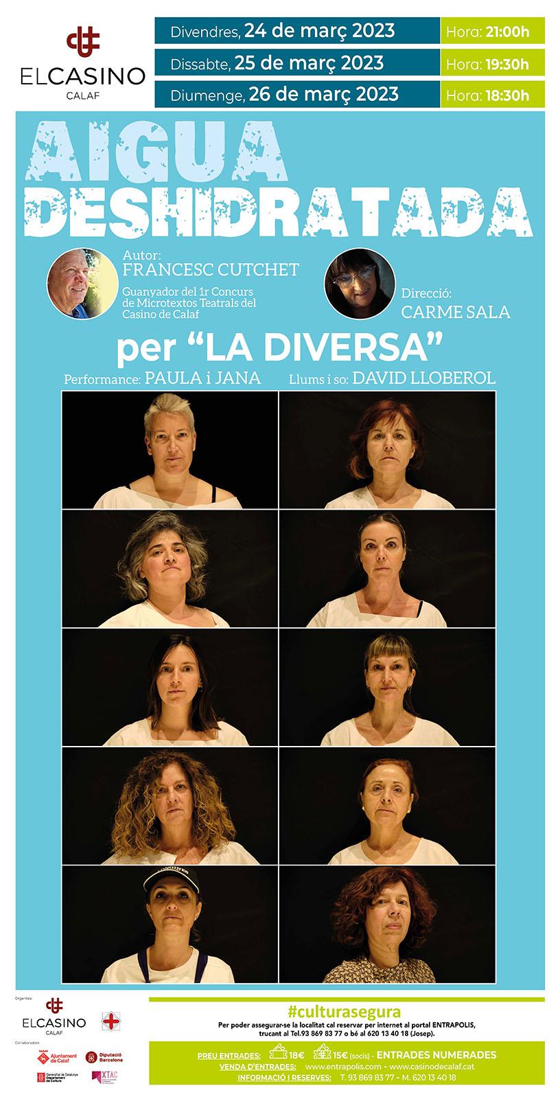 cartell Teatre 'Aigua Deshidratada'