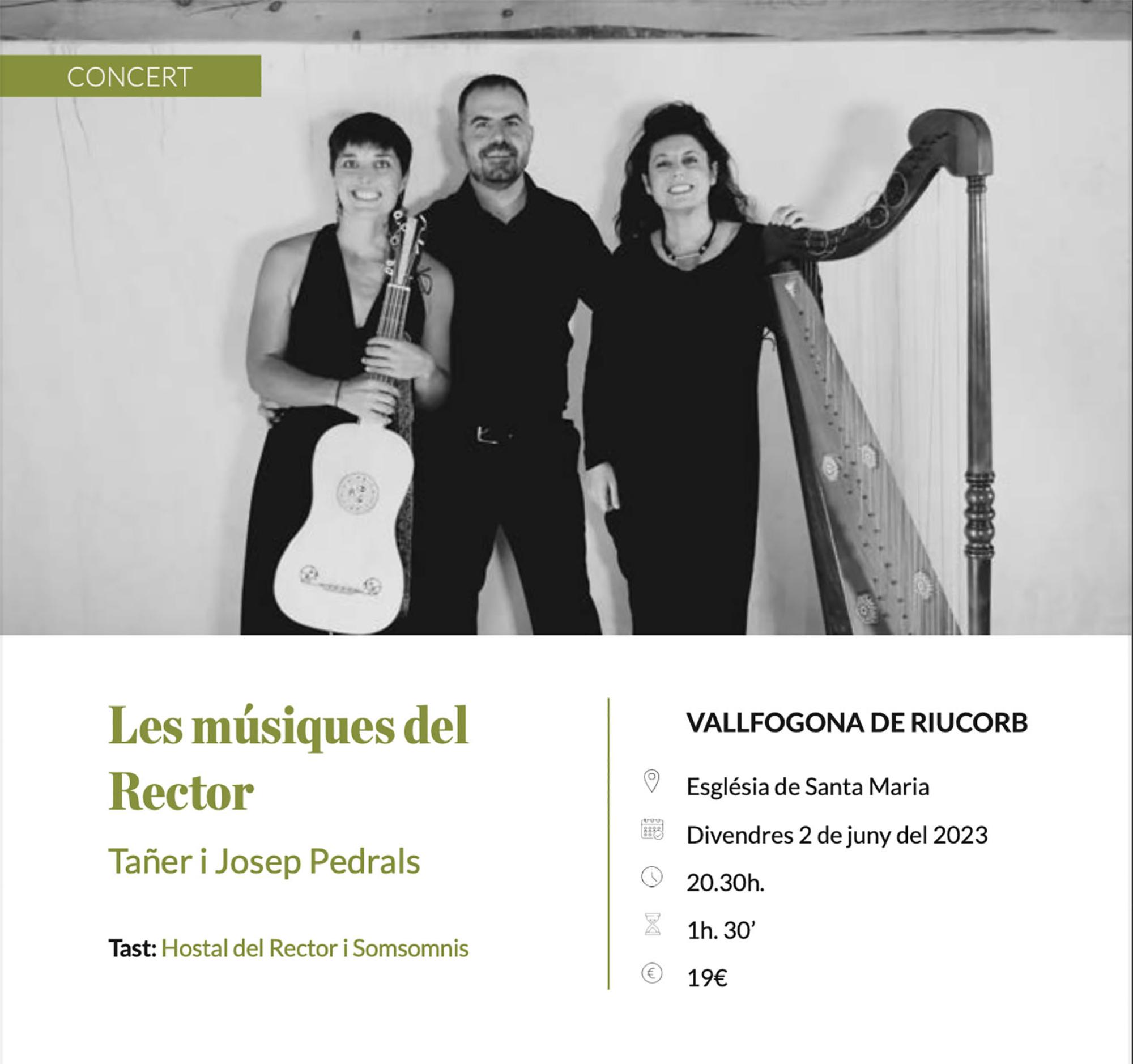 cartell Espurnes barroques concert 'Les músiques del Rector'
