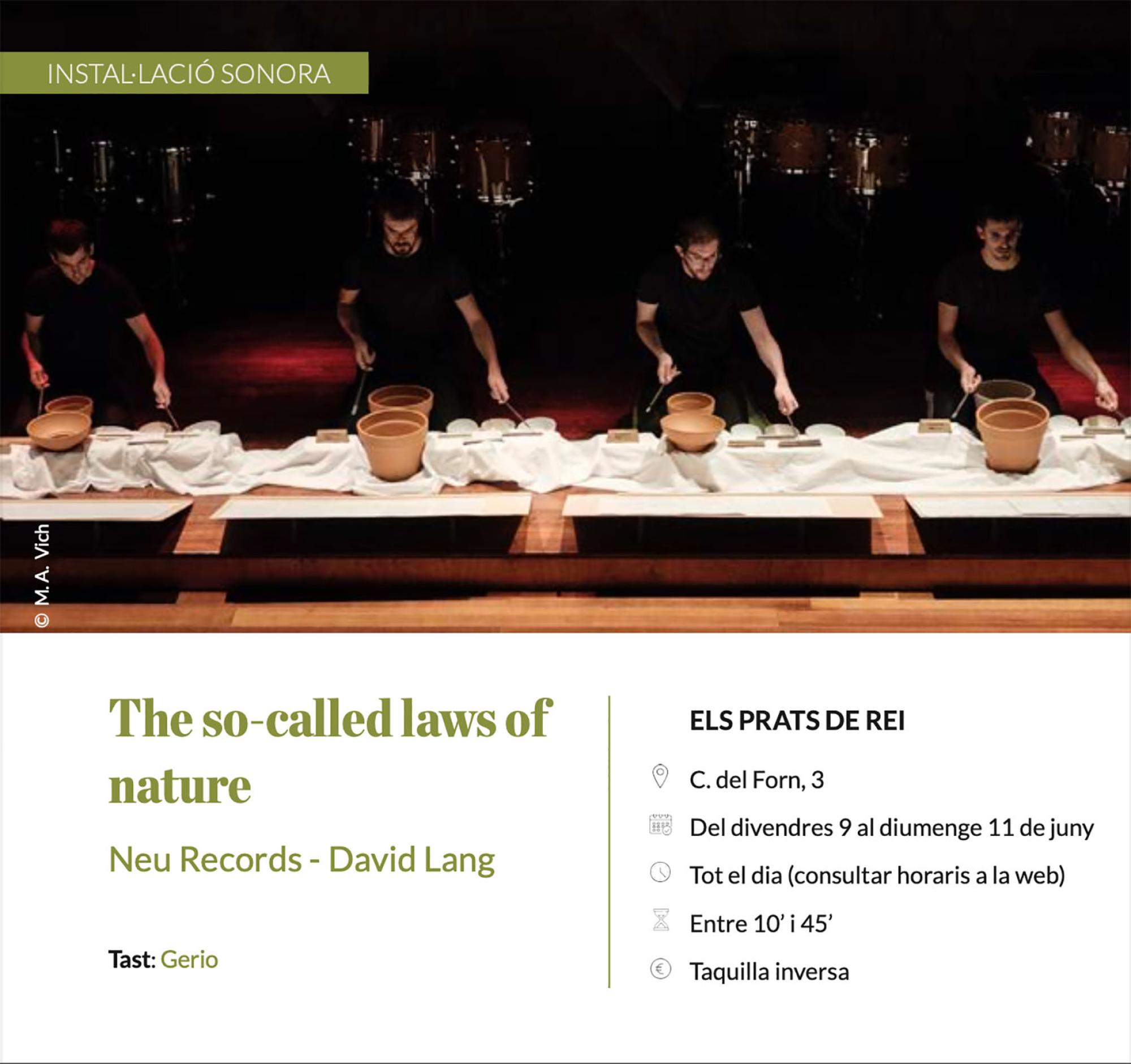 cartell Espurnes barroques instal·lació 'The so-called laws of nature'