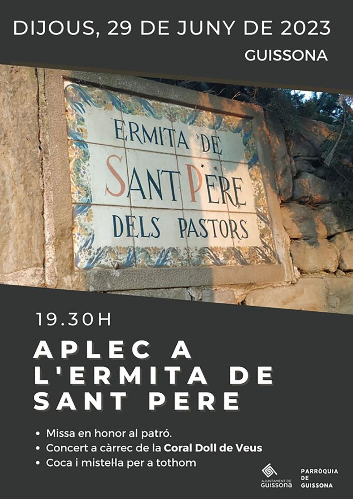 cartell Aplec a l'ermita de Sant Pere