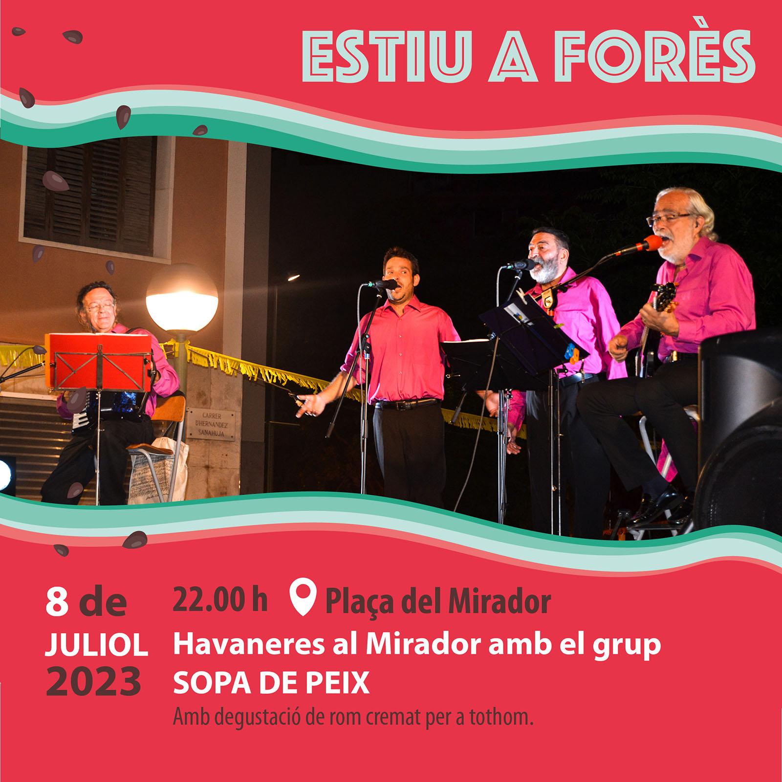 cartell Havaneres amb el grup Sopa de Peix