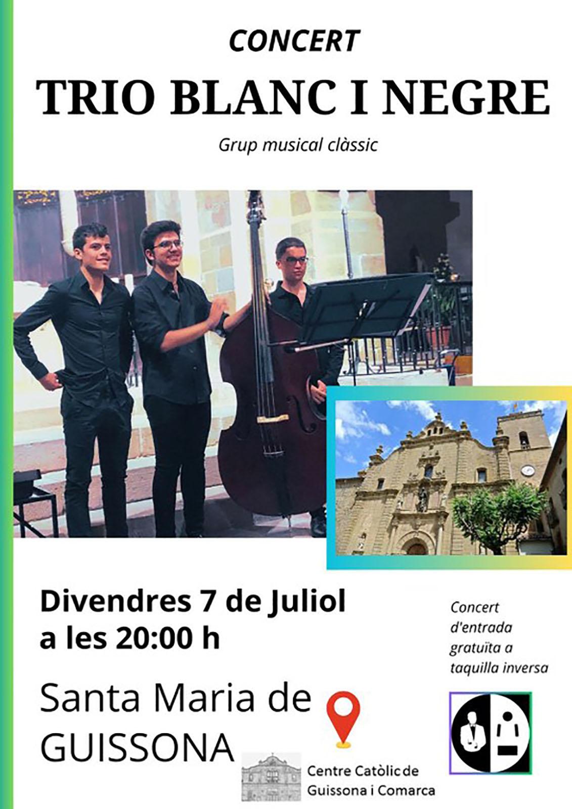 cartell Concert del Trio Blanc i Negre