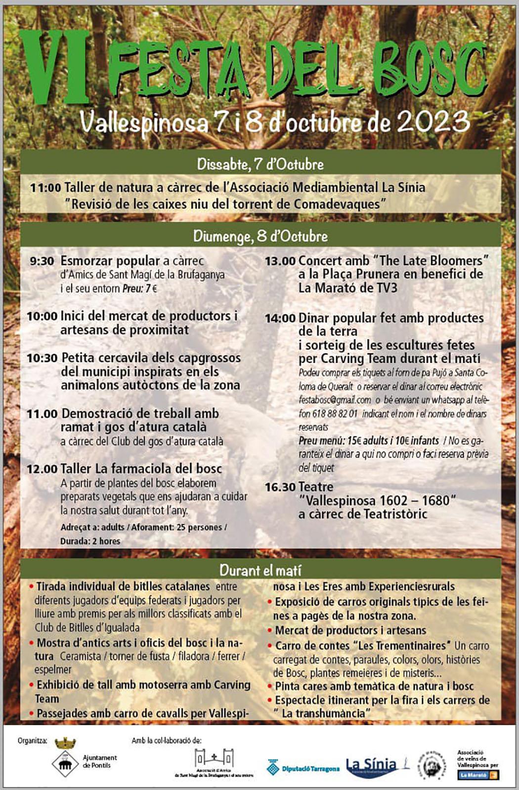 cartell VI Festa del Bosc