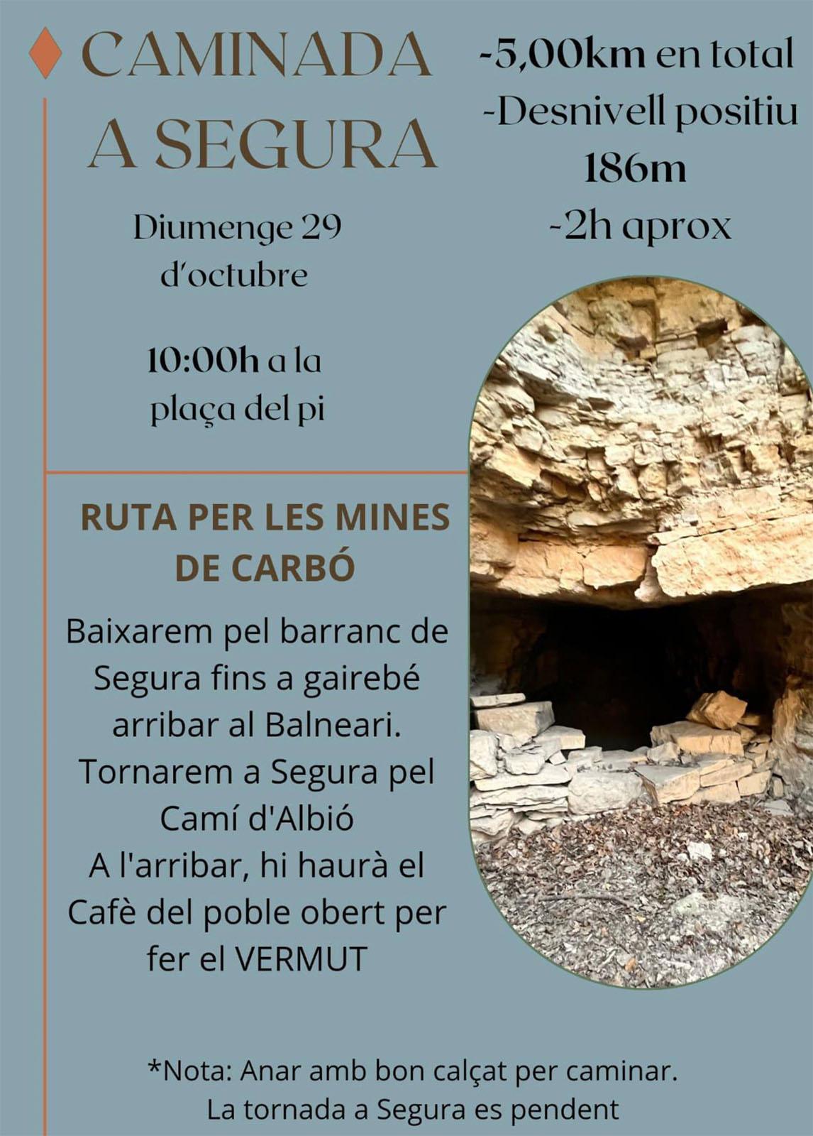 cartell Caminada a Segura