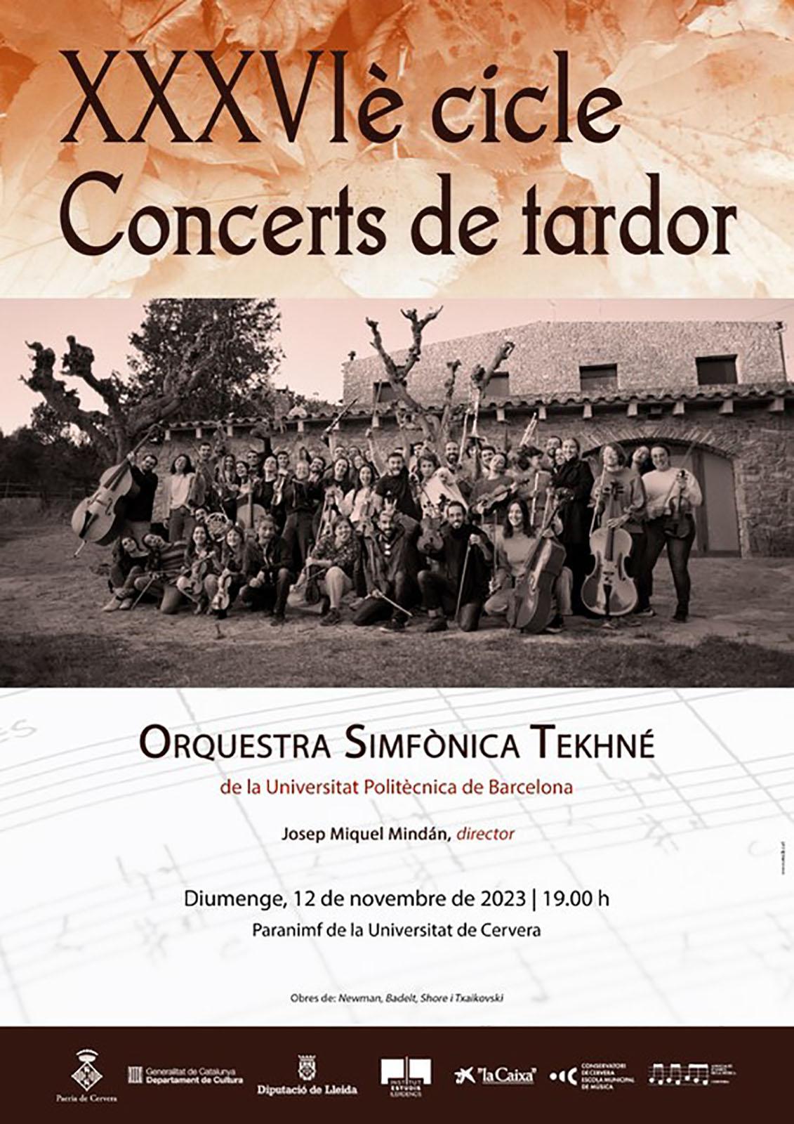 cartell Concert de l'Orquestra Simfònica Tekhné