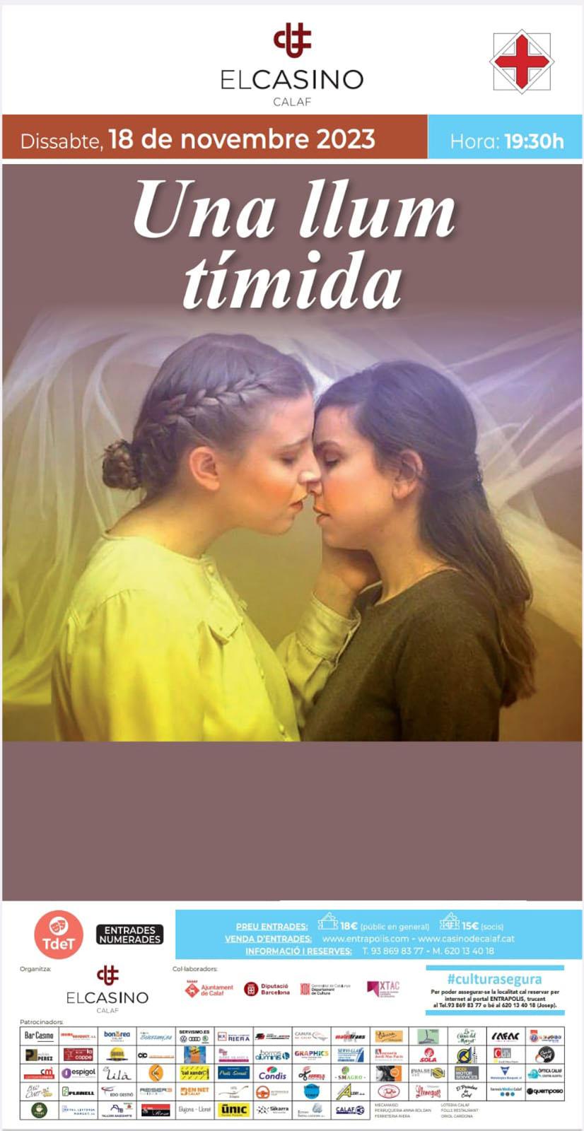 cartell Teatre 'Una llum tímida'