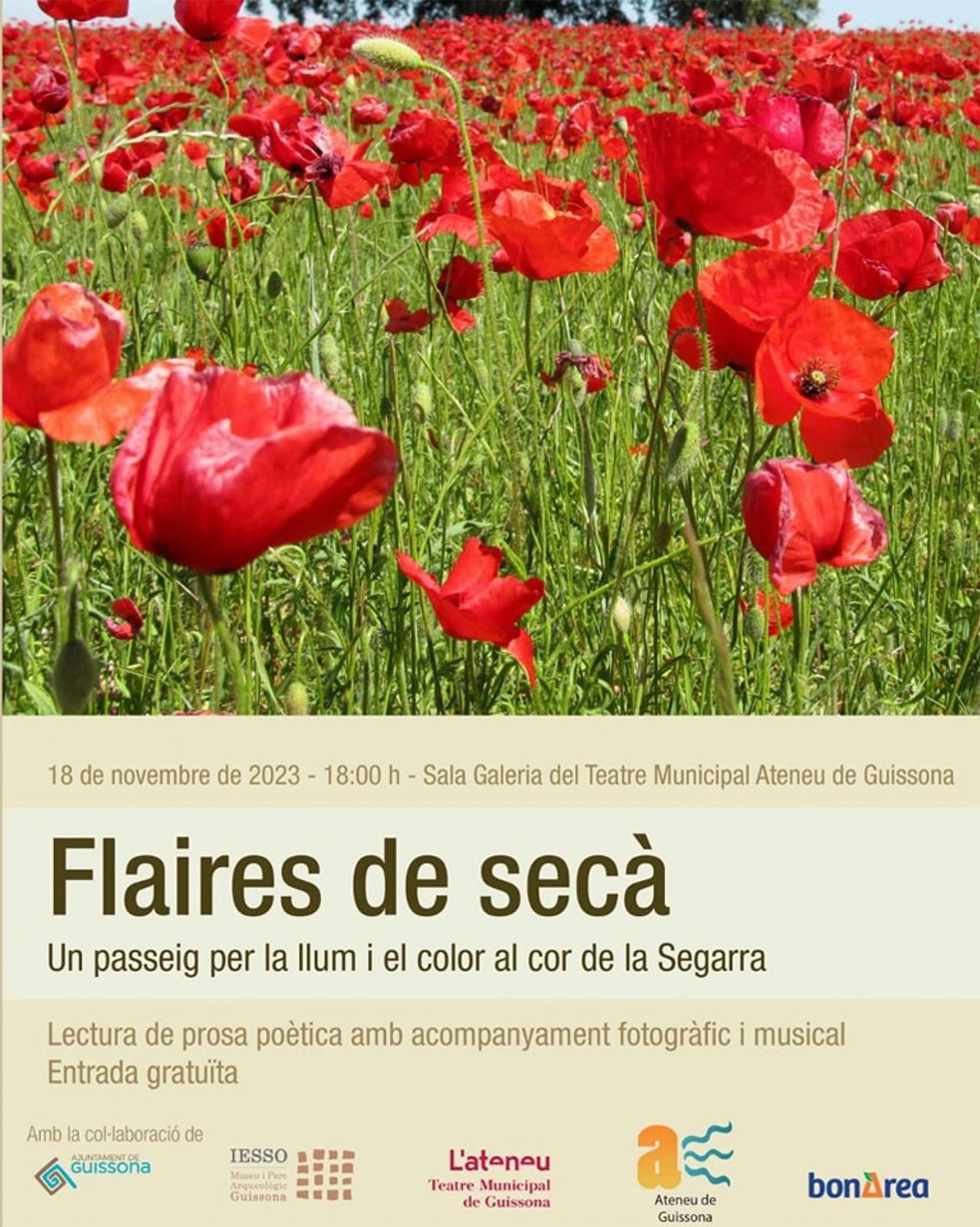 cartell Flaires de secà