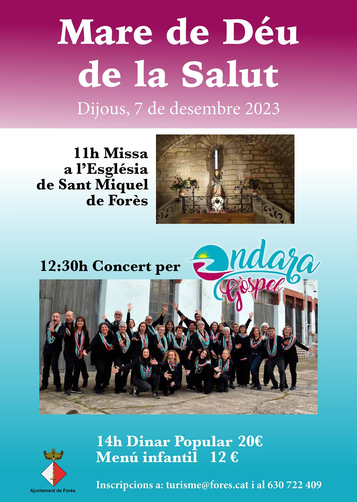 cartell Festivitat de la Mare de Déu de la Salut