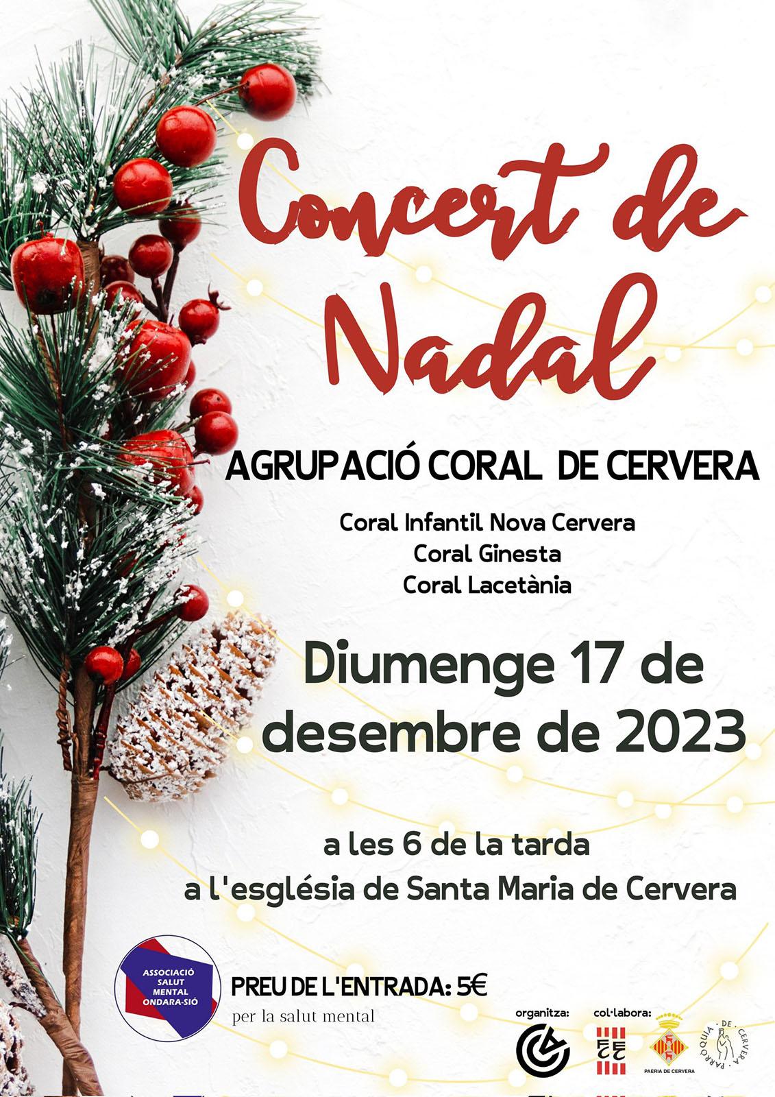 cartell Concert de Nadal