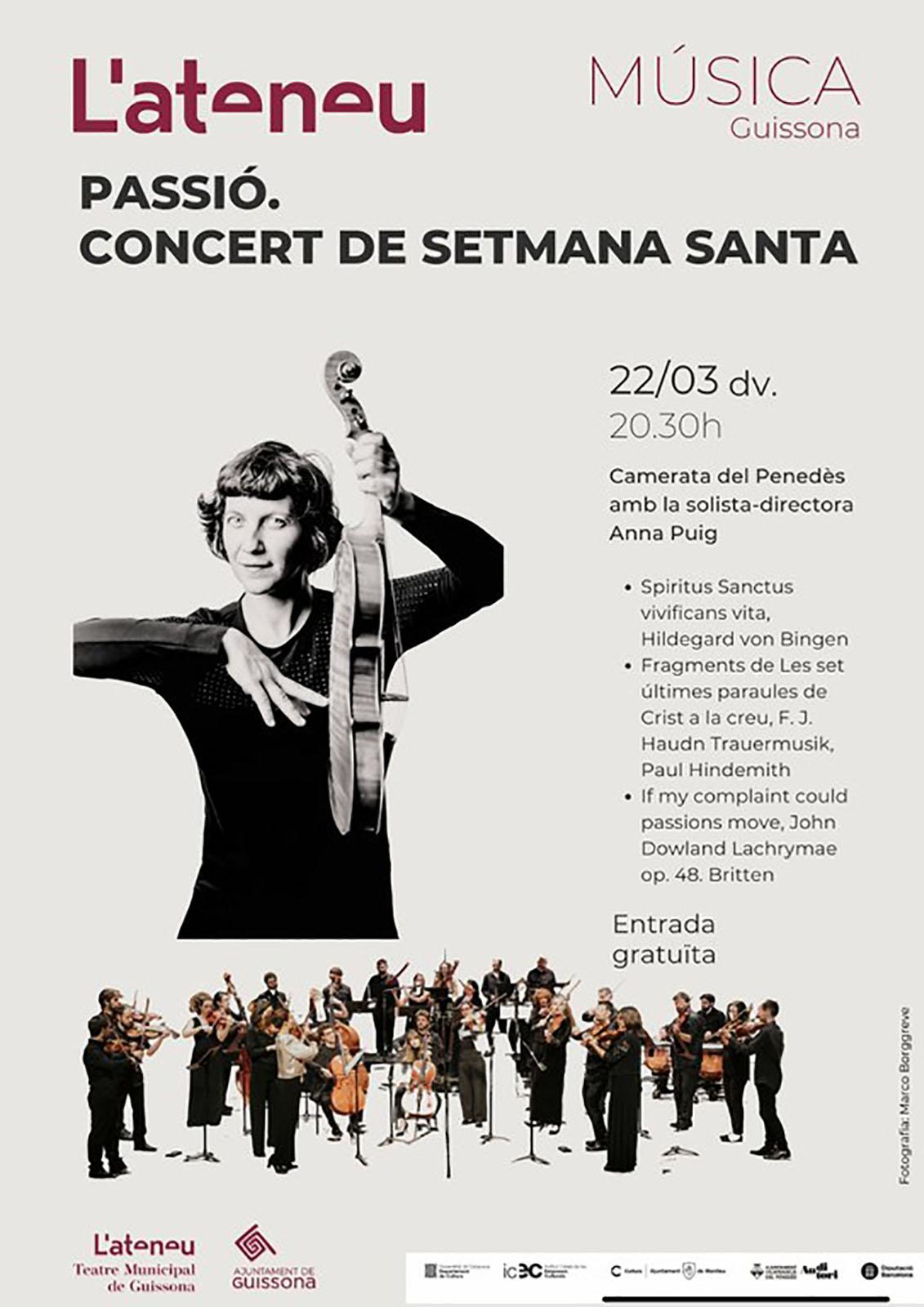 cartell Concert de la Camerata Penedès