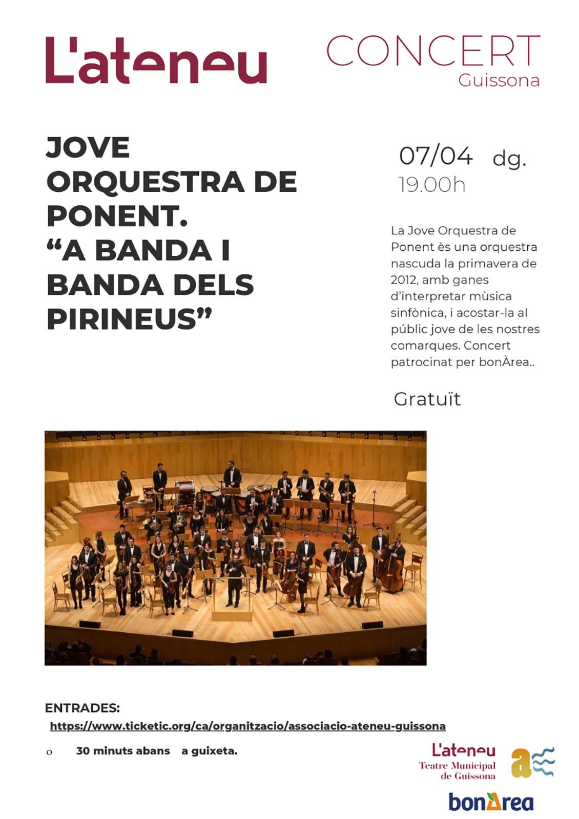 cartell Concert de la Jove Orquestra de Ponent