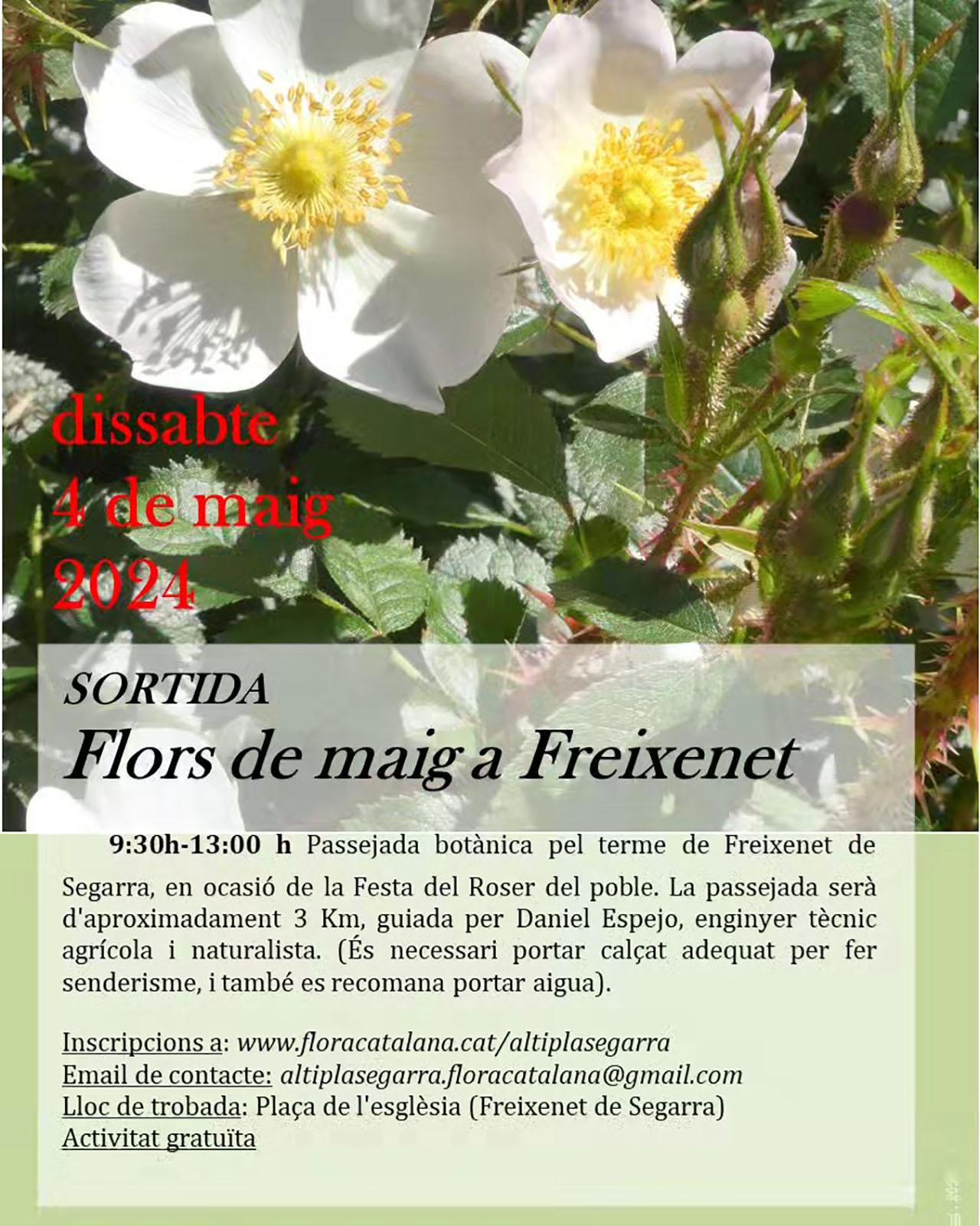 cartell Sortida Flors de maig a Freixenet