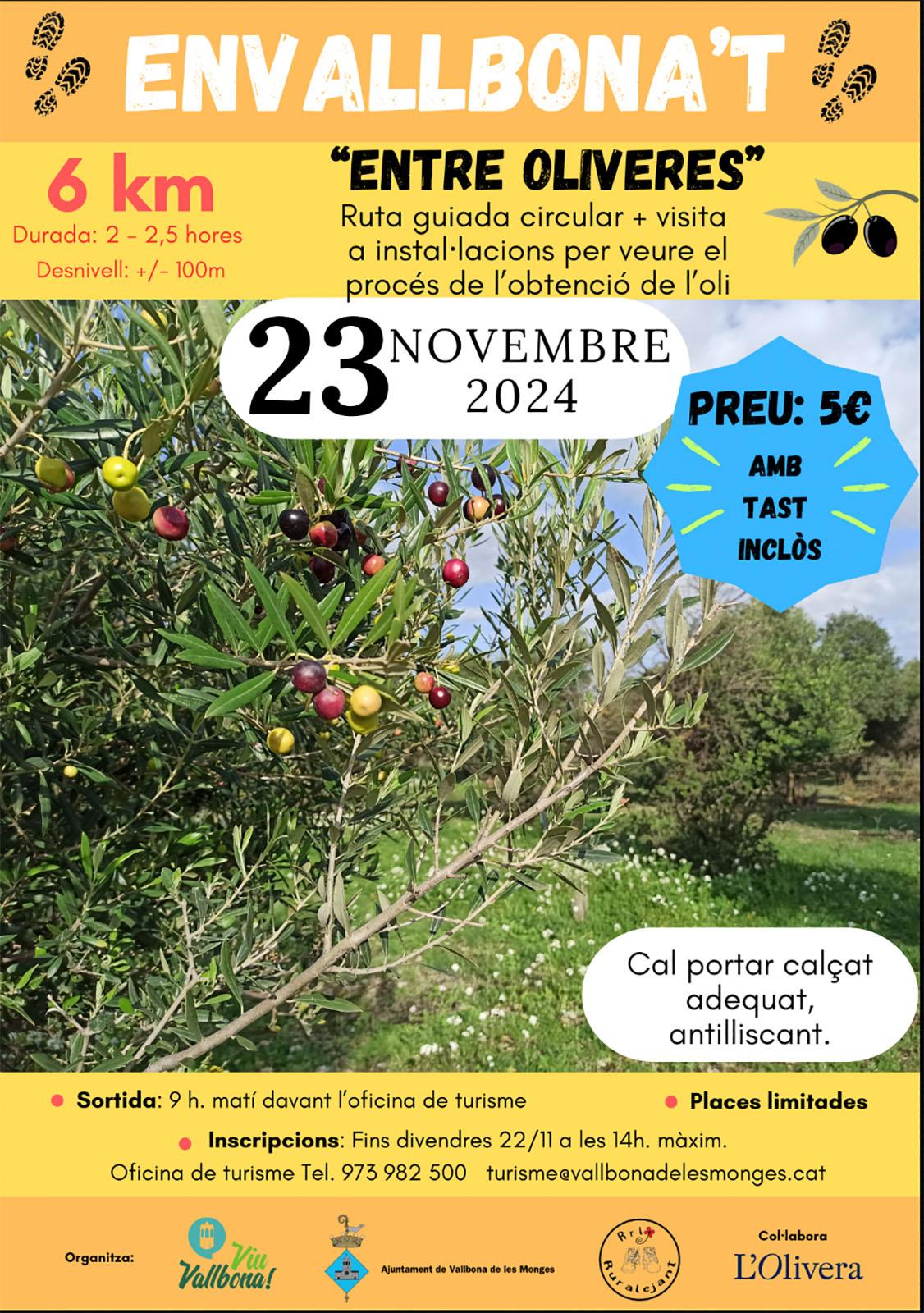 cartell EnVallbona't Entre oliveres cartell EnVallbona't Entre oliveres