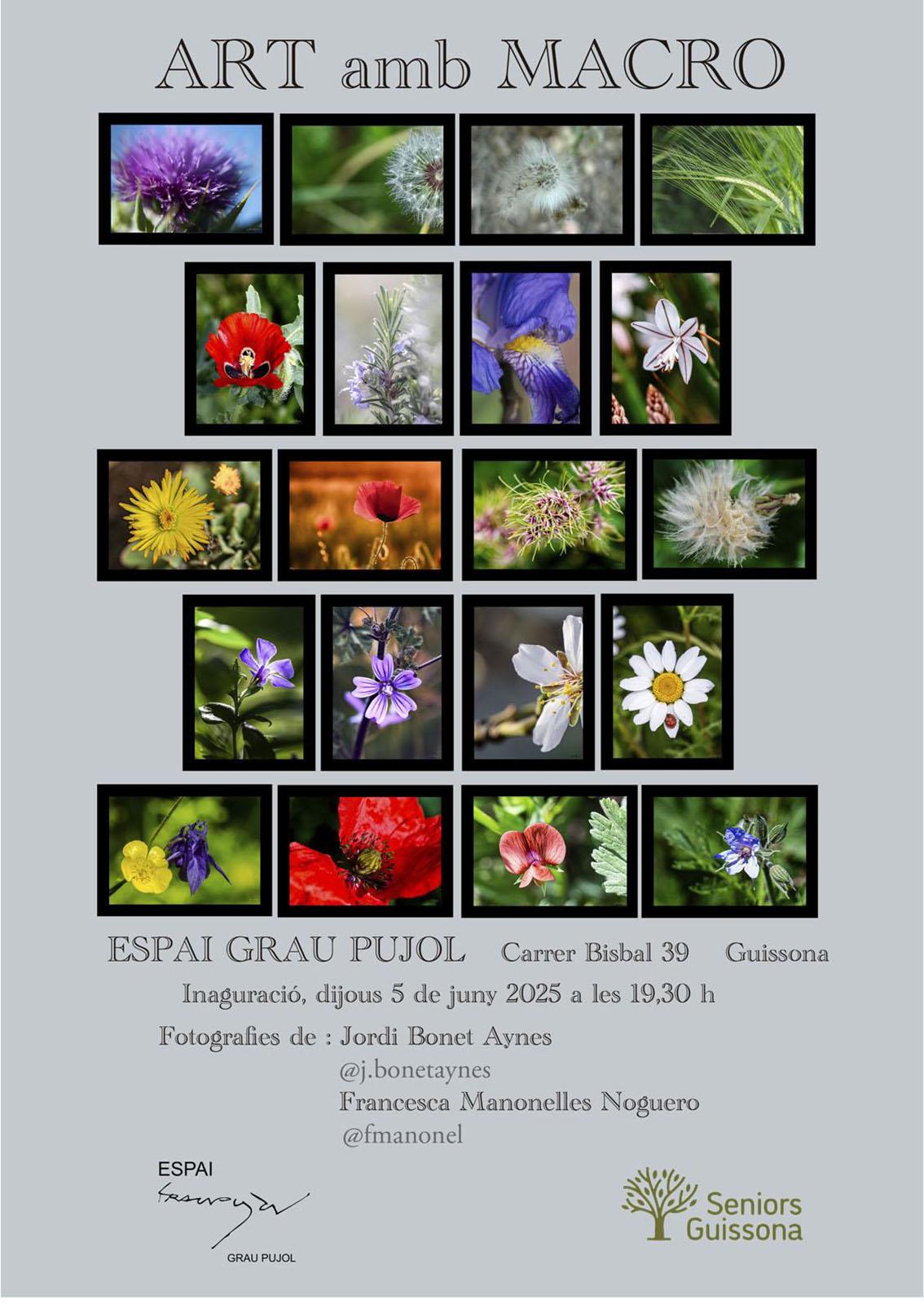 cartell Exposició 'Art amb macro' cartell Exposició 'Art amb macro'