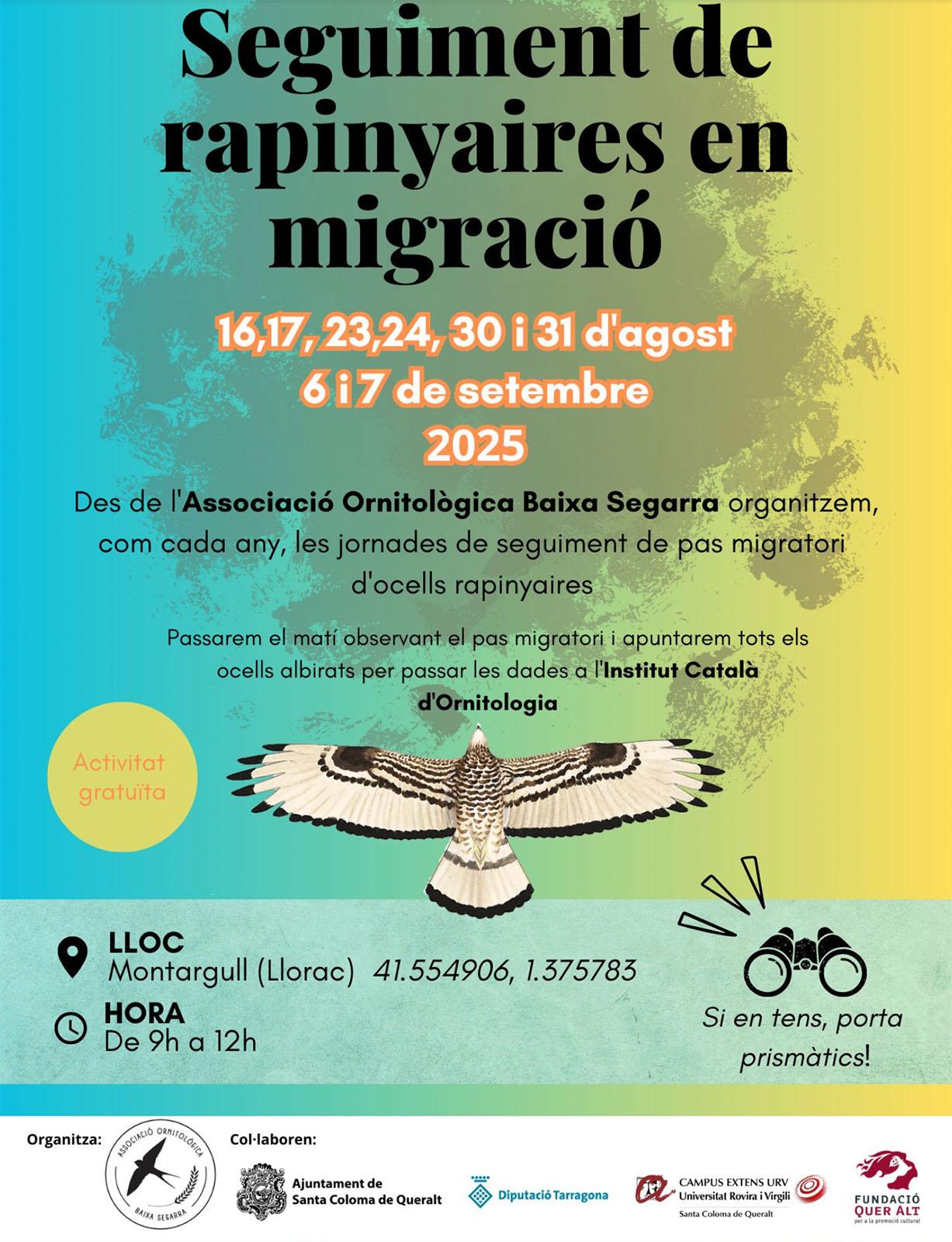 cartell Seguiment de rapinyaires en migració 2025 cartell Seguiment de rapinyaires en migració 2025