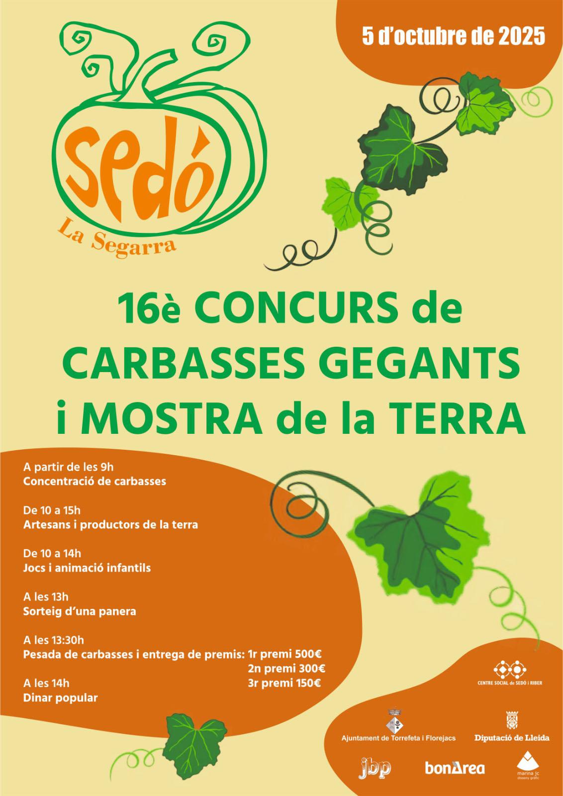 cartell 16è Concurs de Carbasses Gegants de Sedó