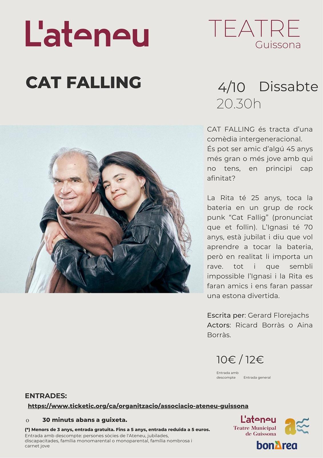 cartell Teatre 'Cat falling'