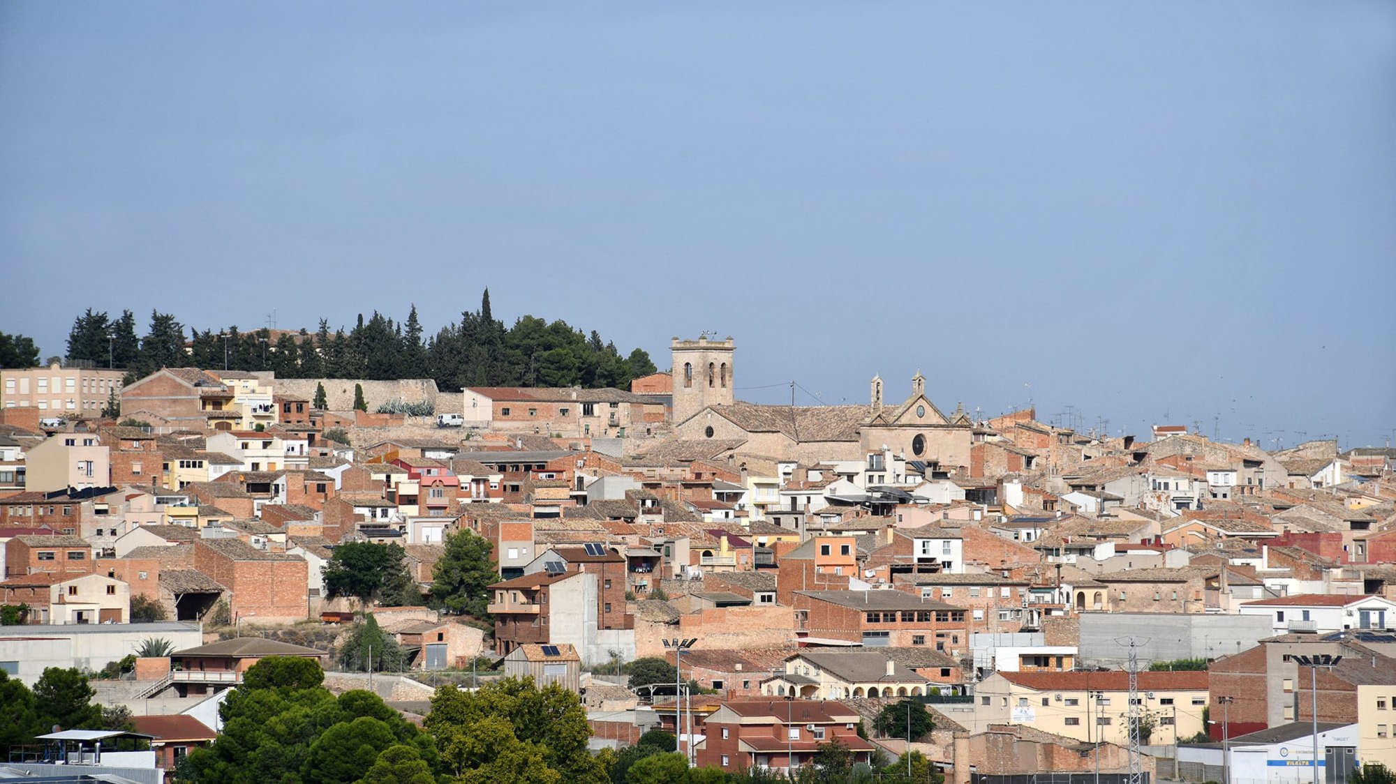 Arbeca
